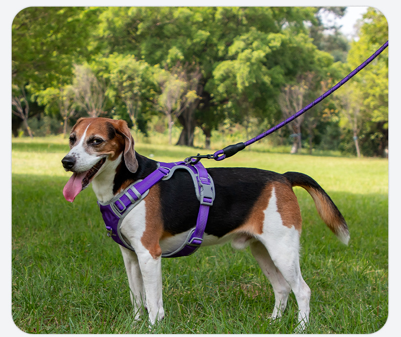 犬 ハーネス なめらか快適リード