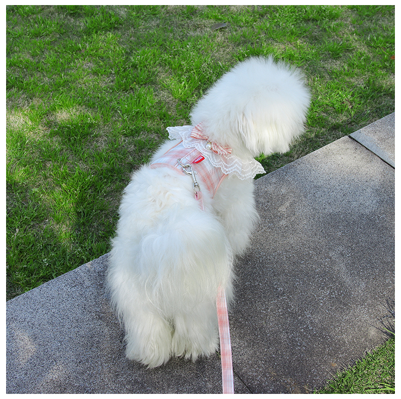 犬 ハーネス ふんわり優雅な花レースハーネス