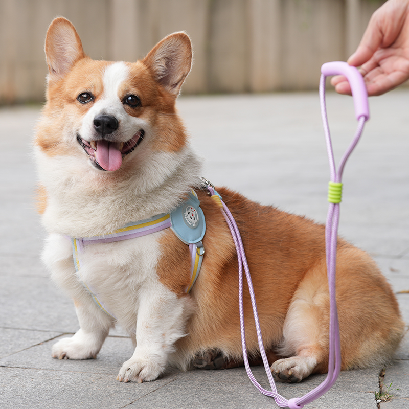 犬 ハーネス シンプル三本ライン ペット用ハーネス