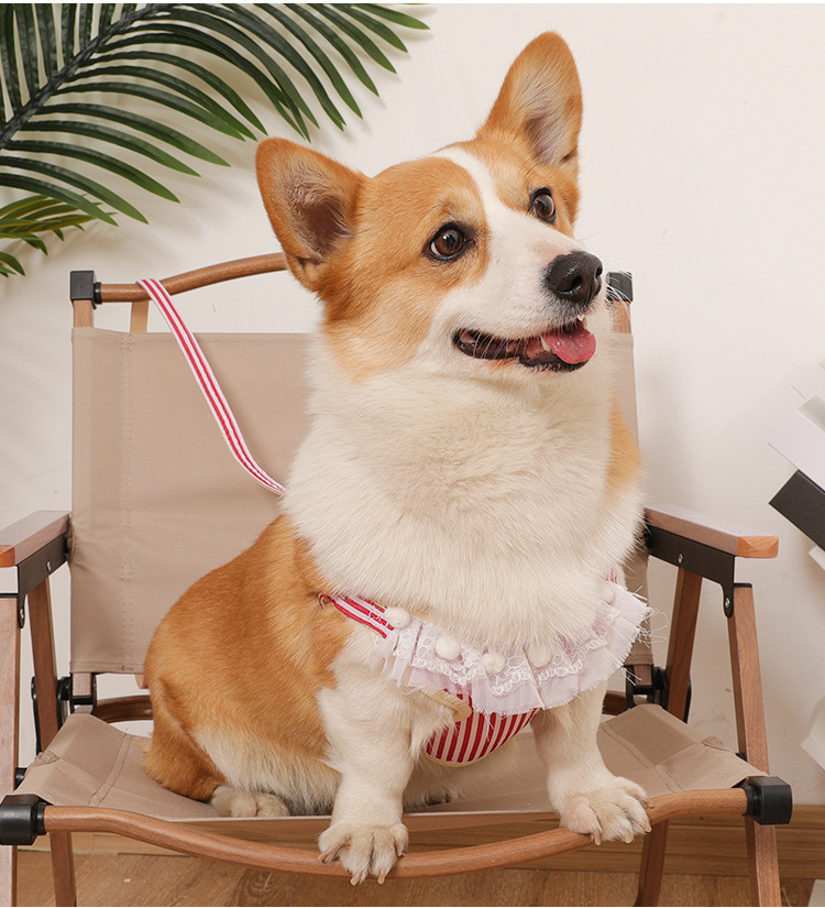 犬 ハーネス ストライプフリル付きハーネス
