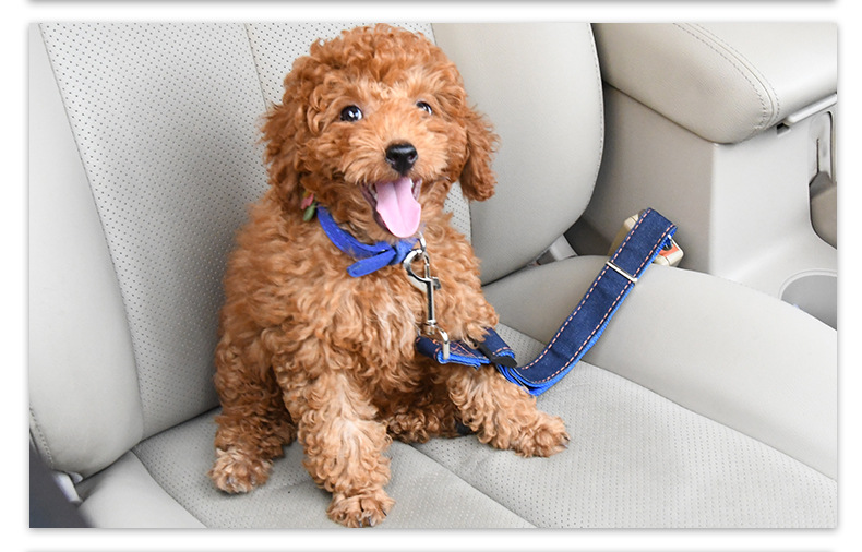 犬 ハーネス ペット用シートベルト安全ストラップ