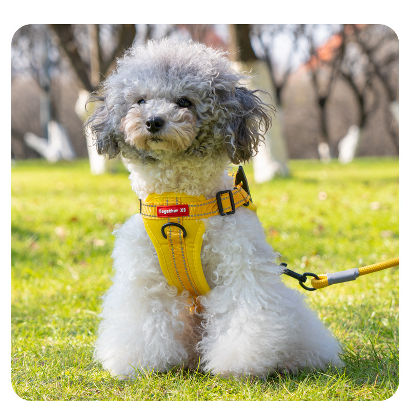 犬 ハーネス なめらか安心ハーネス