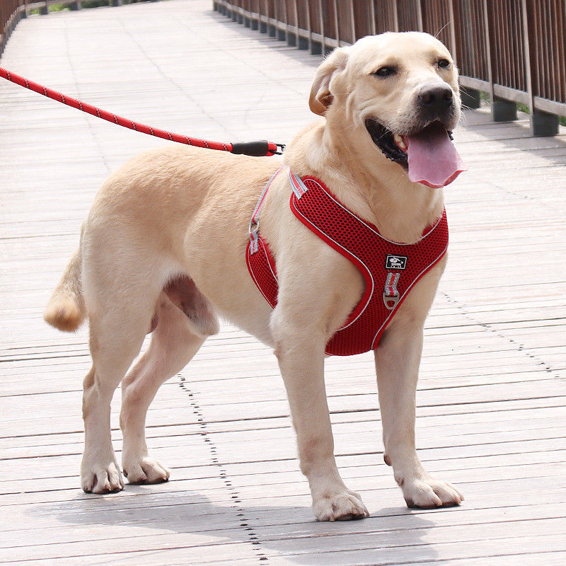 犬 ハーネス やさしさ包む ゆとりハーネス