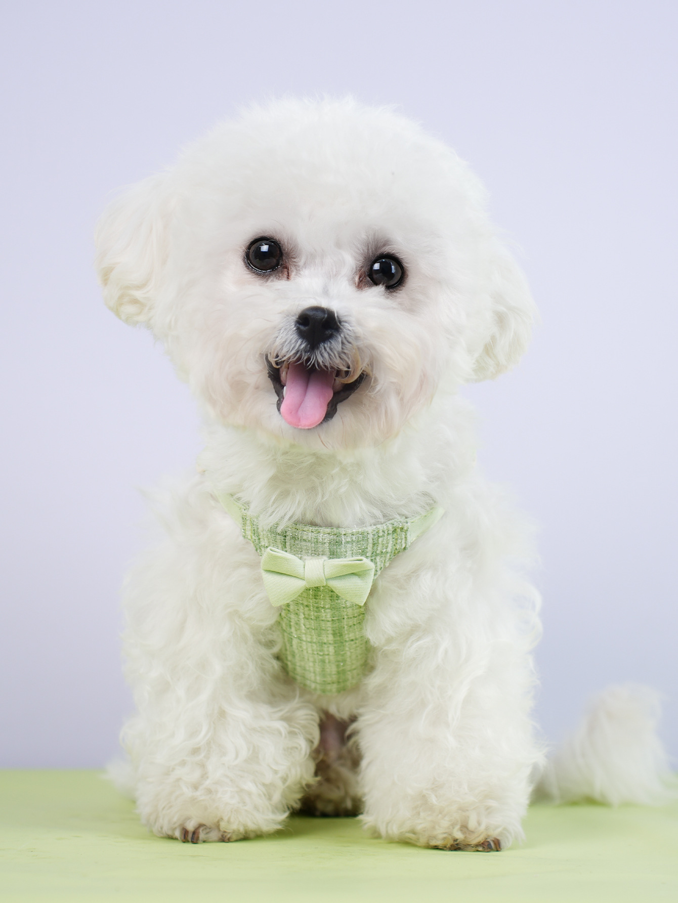 犬 ハーネス ツイード調リボンハーネス