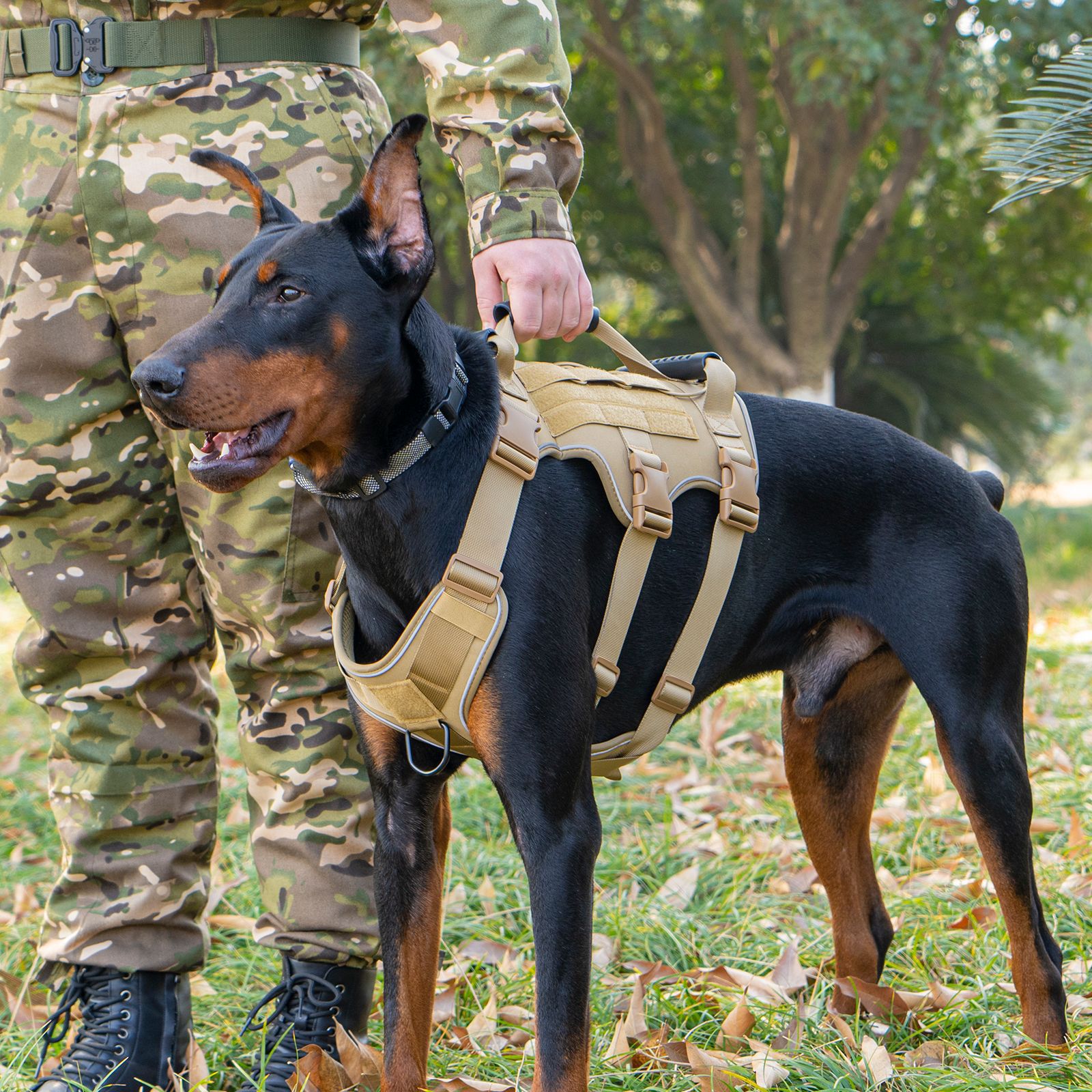 大型犬の体格に合わせたおすすめのハーネス5選