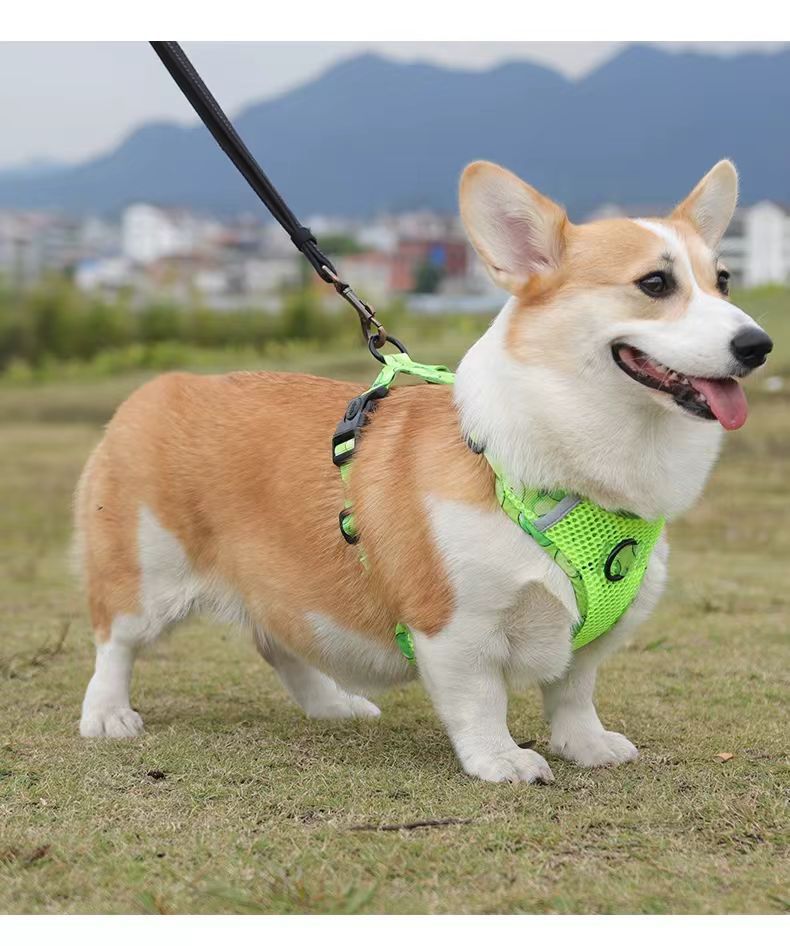 犬 ハーネス メッシュ素材の涼やか散歩ハーネス