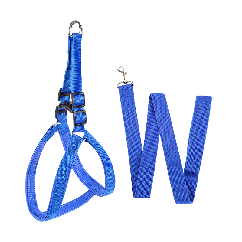 https://fulmo-img-server.com/wonderfulharness/789b1ca8-301f-42fa-a982-838273bde5de.jpg