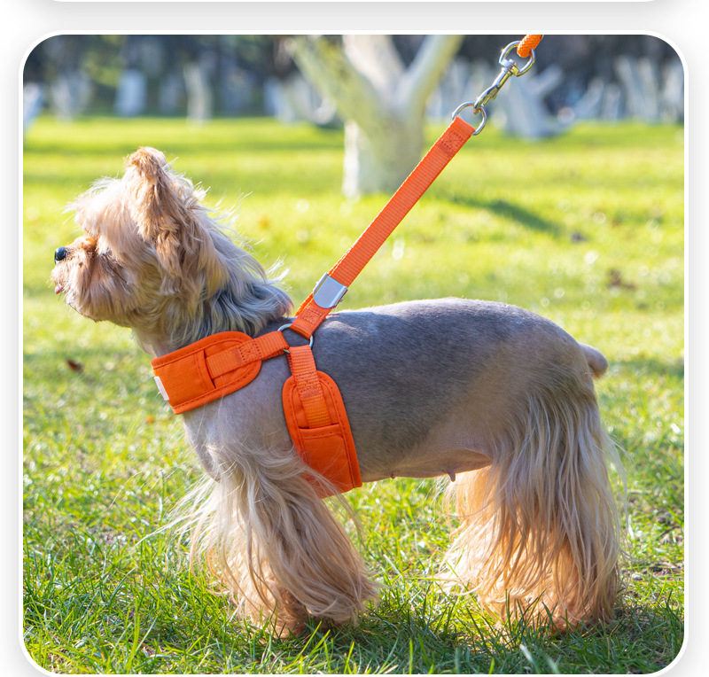 犬 ハーネス なめらかフィット ソフトハーネス