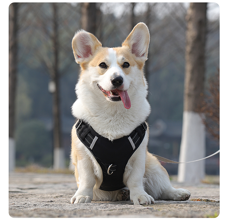 犬 ハーネス アウトドア調 軽量ポケット付きペット用胴輪