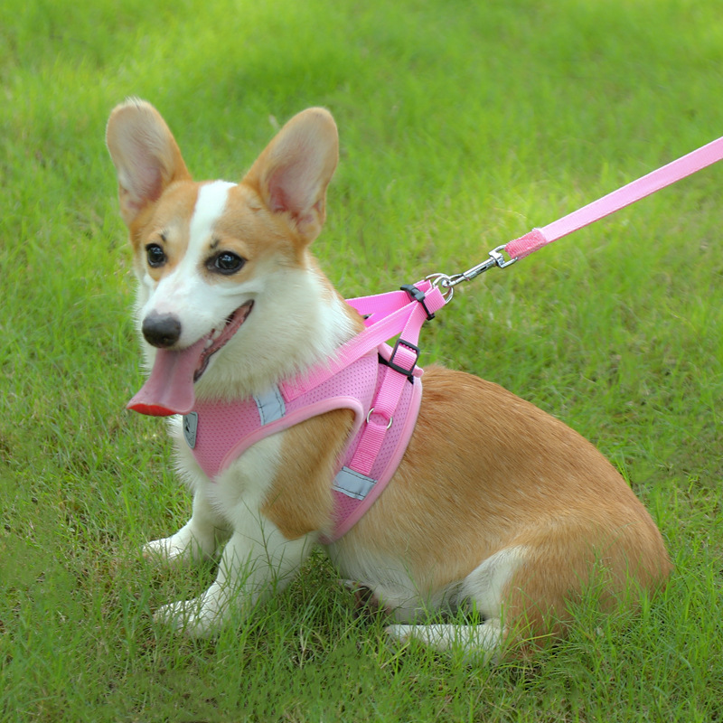 犬 ハーネス やさしさハグハーネス