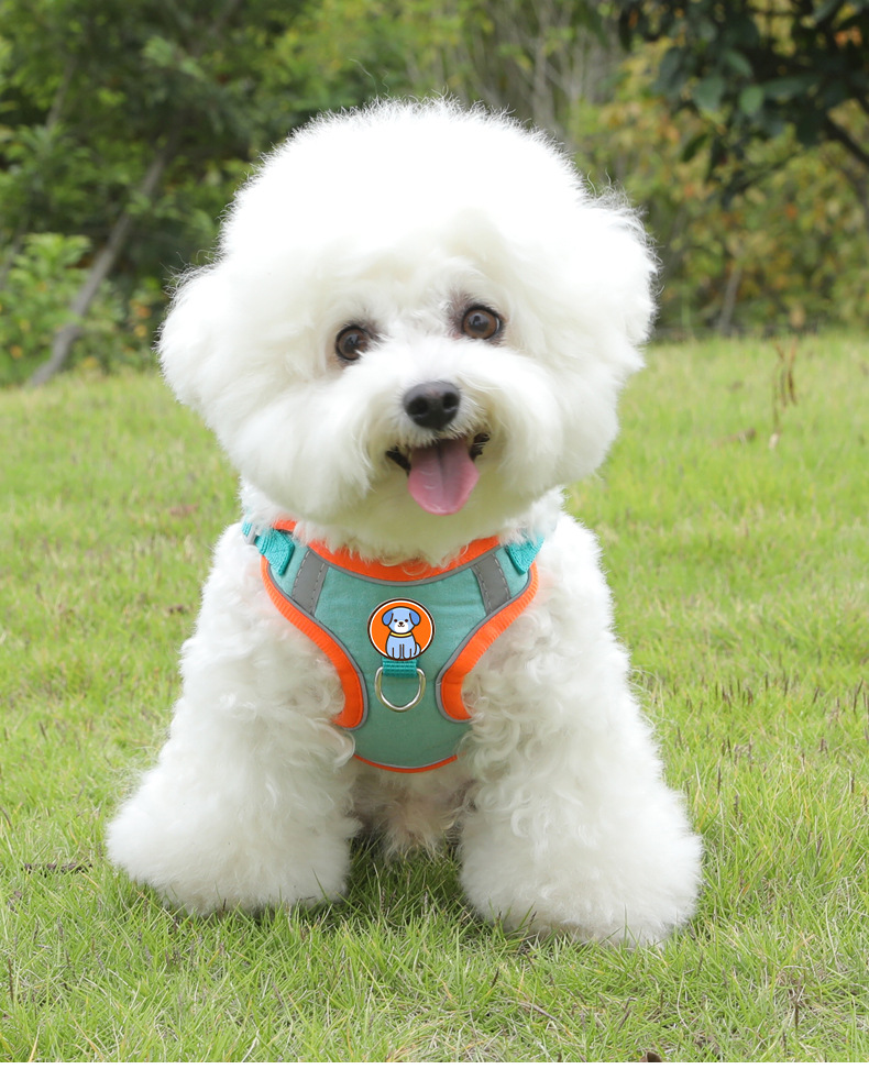 https://fulmo-img-server.com/wonderfulharness/792c79da-598f-479d-bd8f-e897539d770e.jpg
