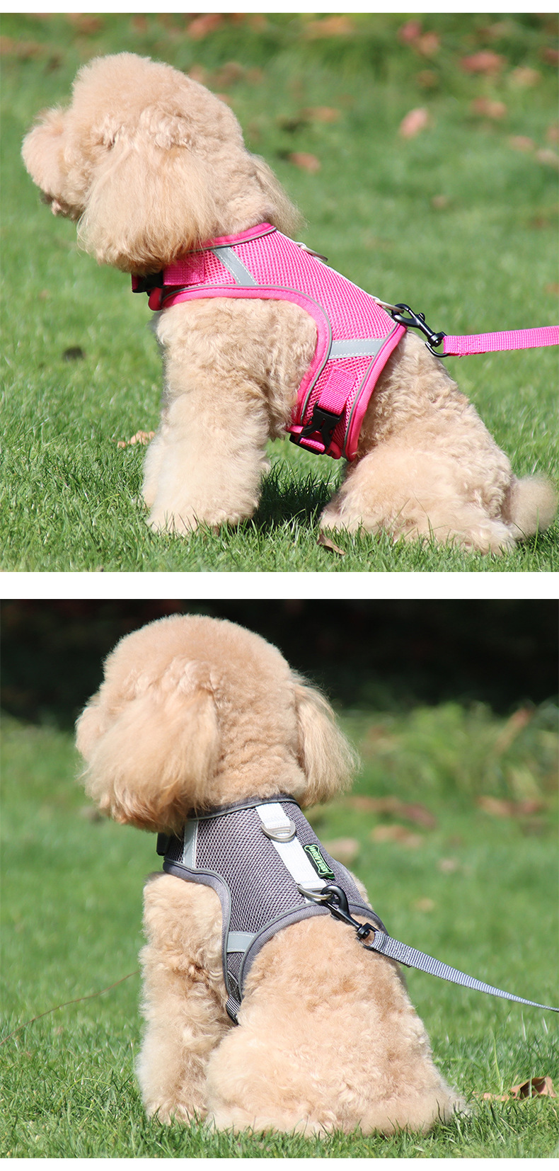 犬 ハーネス ふんわり快適メッシュハーネス