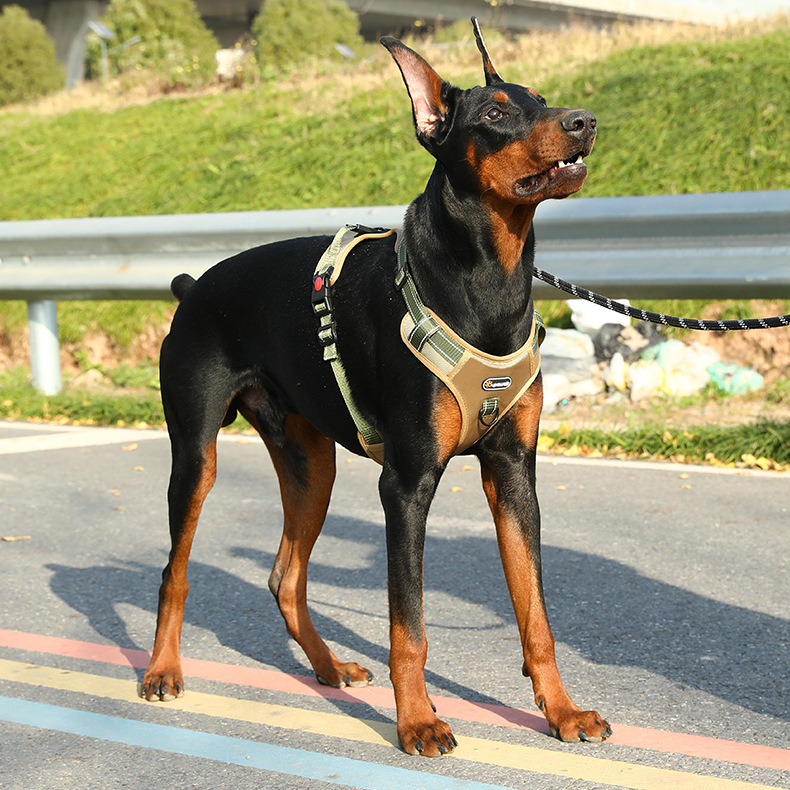 犬 ハーネス 頑丈な背中サポートハーネス