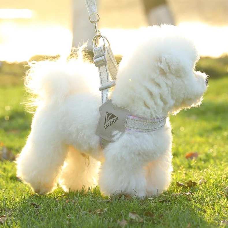 犬 ハーネス やさしい着け心地 ふんわりメッシュハーネス