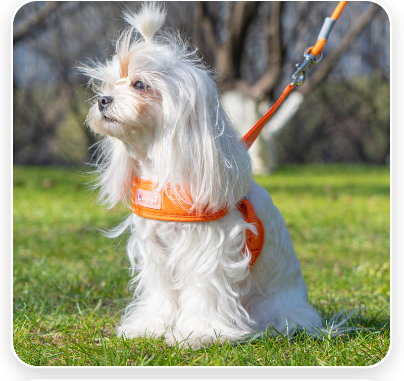 犬 ハーネス なめらかフィット ソフトハーネス