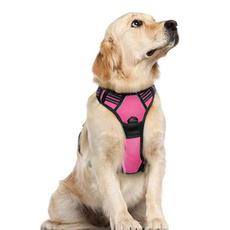 https://fulmo-img-server.com/wonderfulharness/7a7df9bc-be52-4d2e-ad4f-0c0a62871f25.jpg