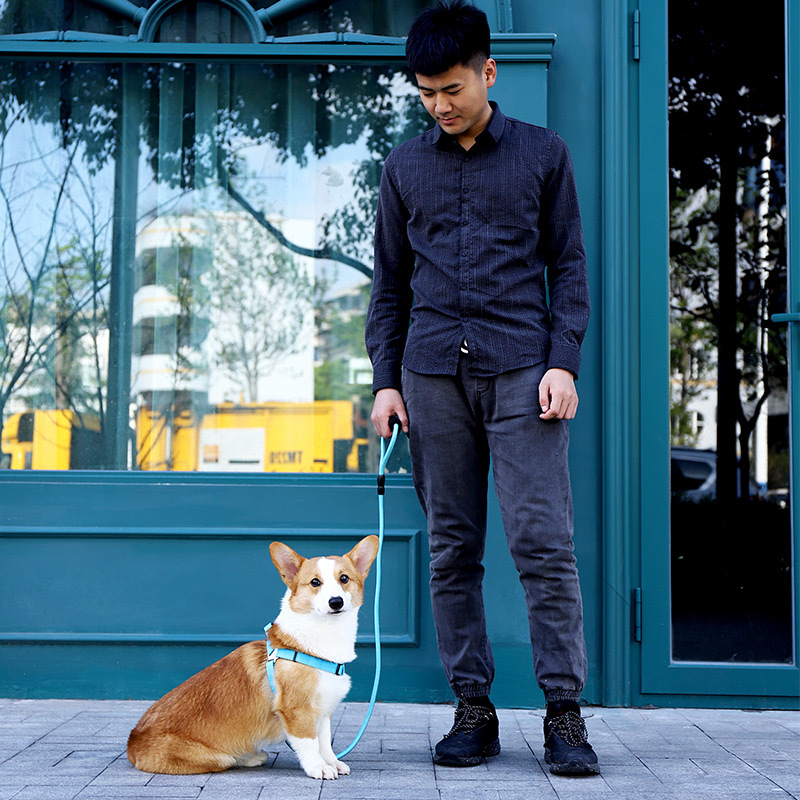 犬 ハーネス かろやかな歩みハーネス