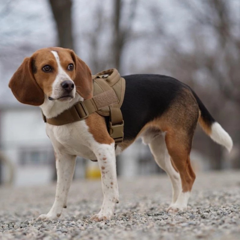 犬 ハーネス 耐久性抜群 軍用スタイルハーネス