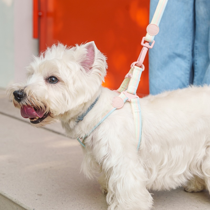 犬 ハーネス やさしい光沢感 ほっそり美人ハーネス