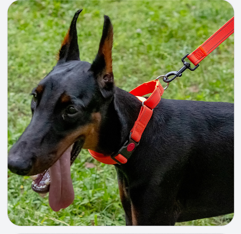 犬 ハーネス なめらかリード散歩用引き紐