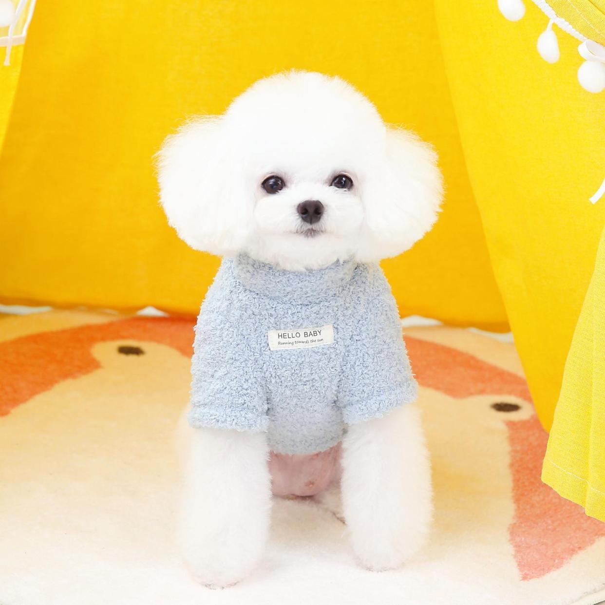 犬 ハーネス 生成エラーです