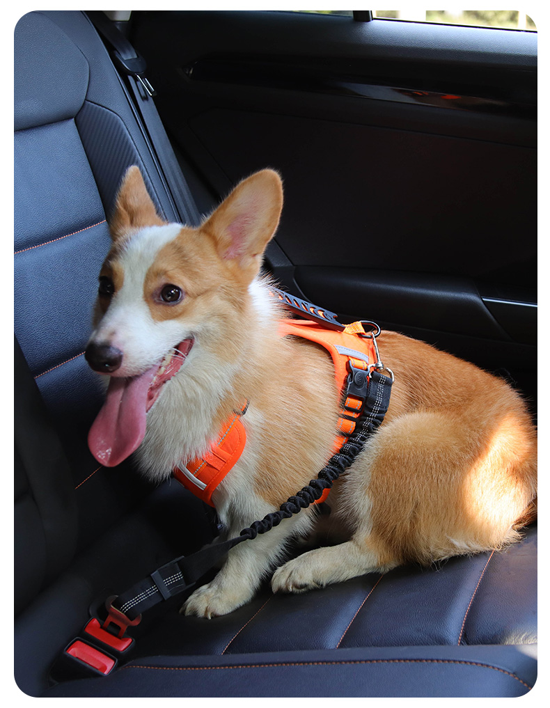 犬 ハーネス ソフトフィット安全ハーネス
