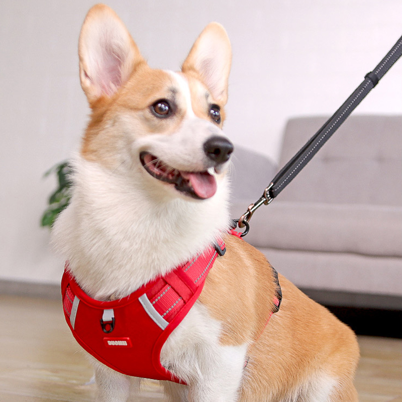 犬 ハーネス なめらか装着ハーネス