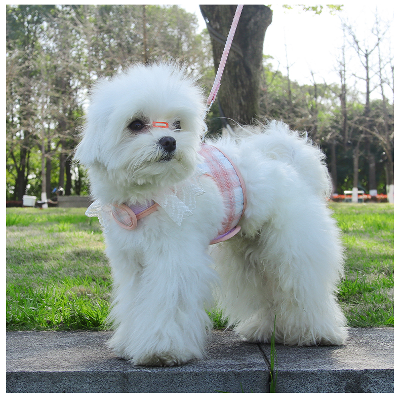 犬 ハーネス ふんわり優雅な花レースハーネス