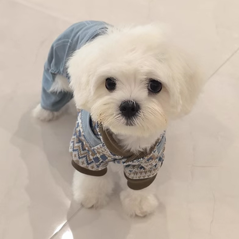 犬 ハーネス なごみデニムオーバーオール