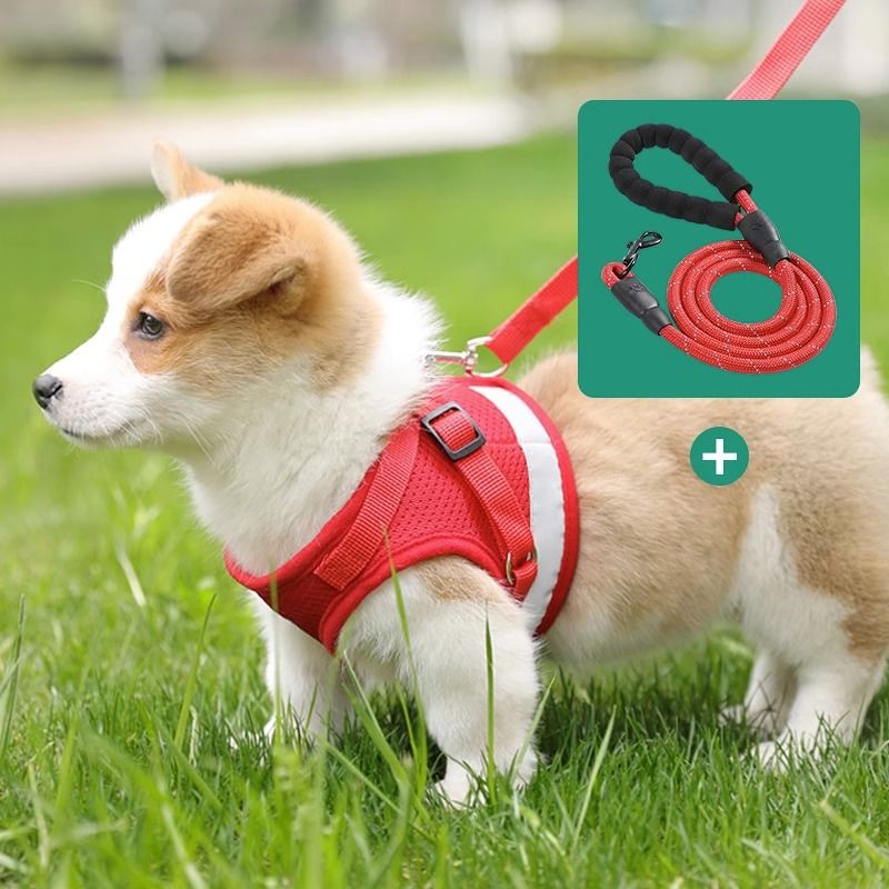 https://fulmo-img-server.com/wonderfulharness/7e26099c-dff8-4fcb-962d-a6b3032e62a7.jpg