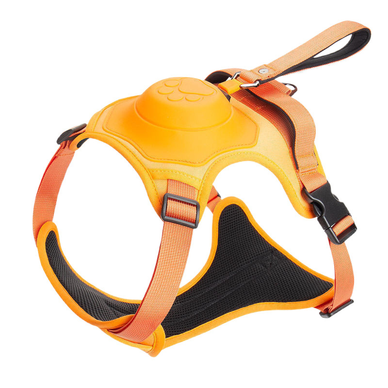 https://fulmo-img-server.com/wonderfulharness/7e261a20-a981-4ac4-bfa0-b780ef76cfd5.jpg
