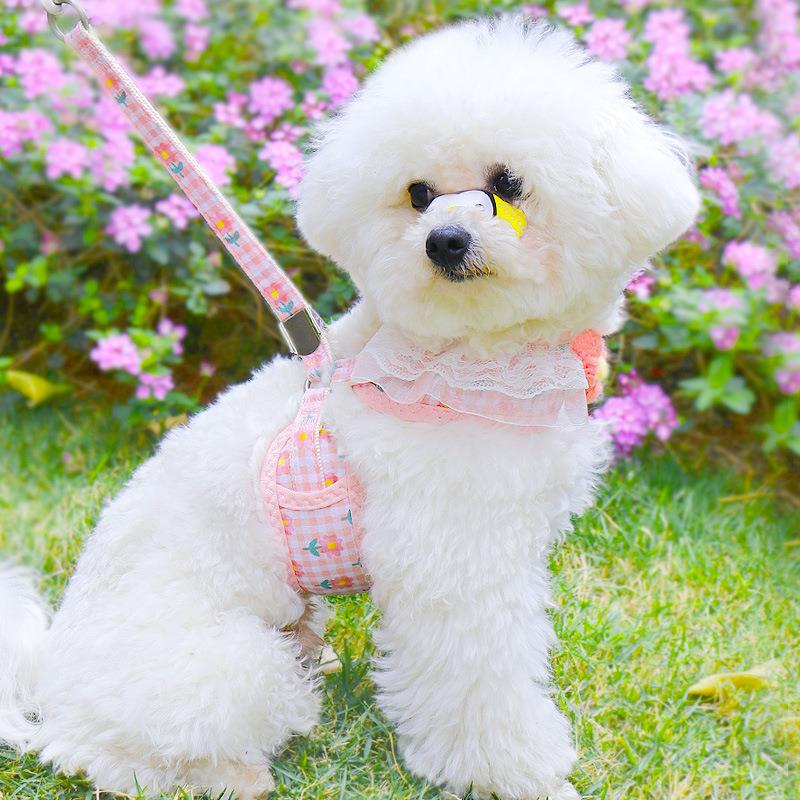 犬 ハーネス ふんわり花レースハーネス