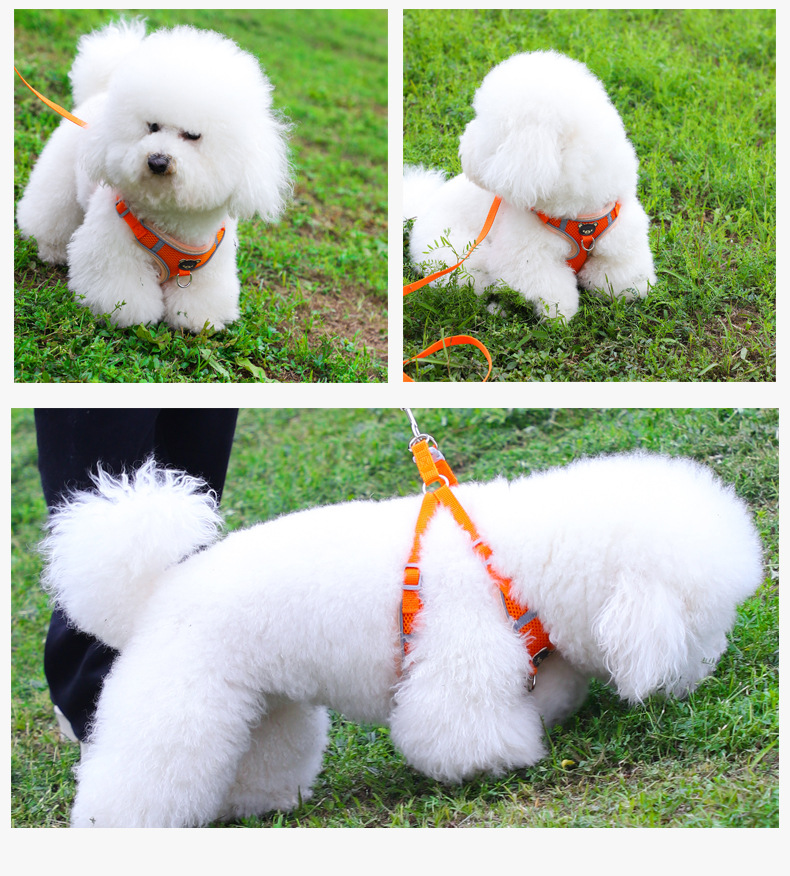 犬 ハーネス ふわもこワンちゃん用メッシュハーネス