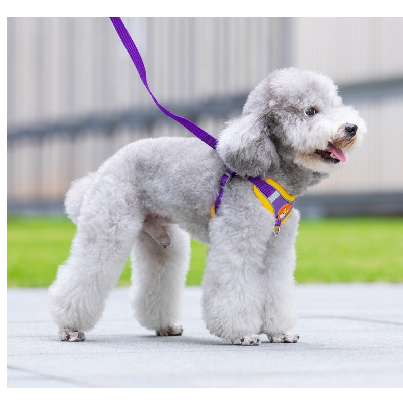 犬 ハーネス やさしい着け心地 ソフトハーネス