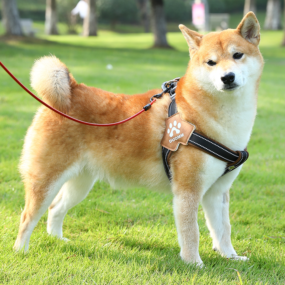 犬 ハーネス やさしい肩あて付き散歩用ハーネス