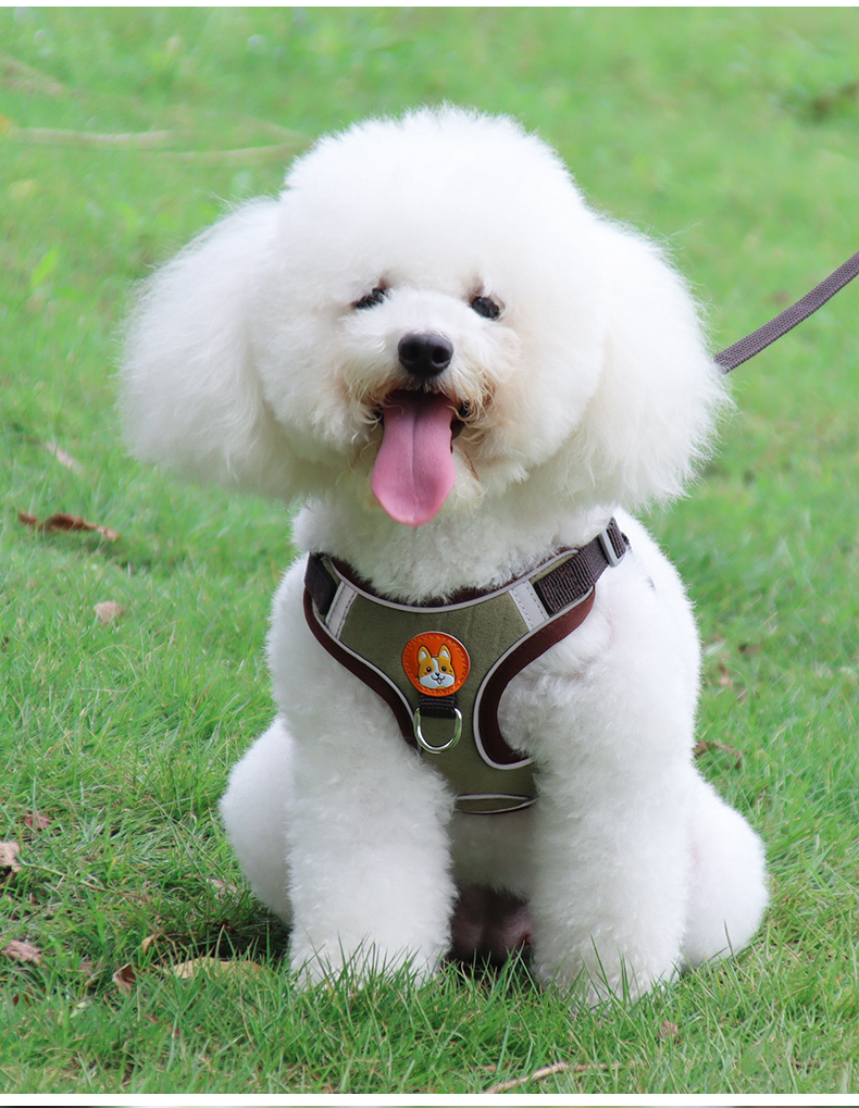 犬 ハーネス やさしい散歩ハーネス＆リードセット