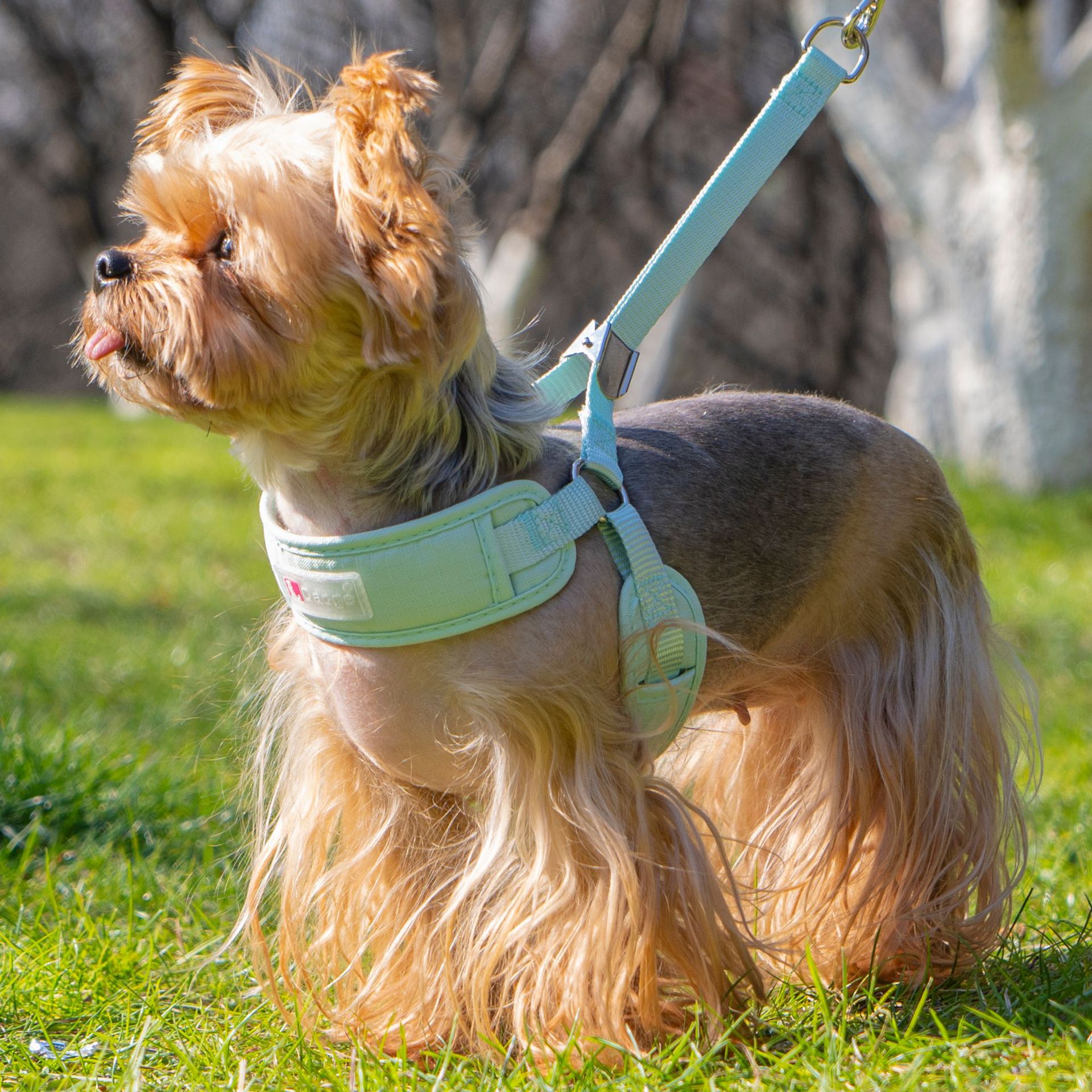 犬 ハーネス なめらかフィット ソフトハーネス