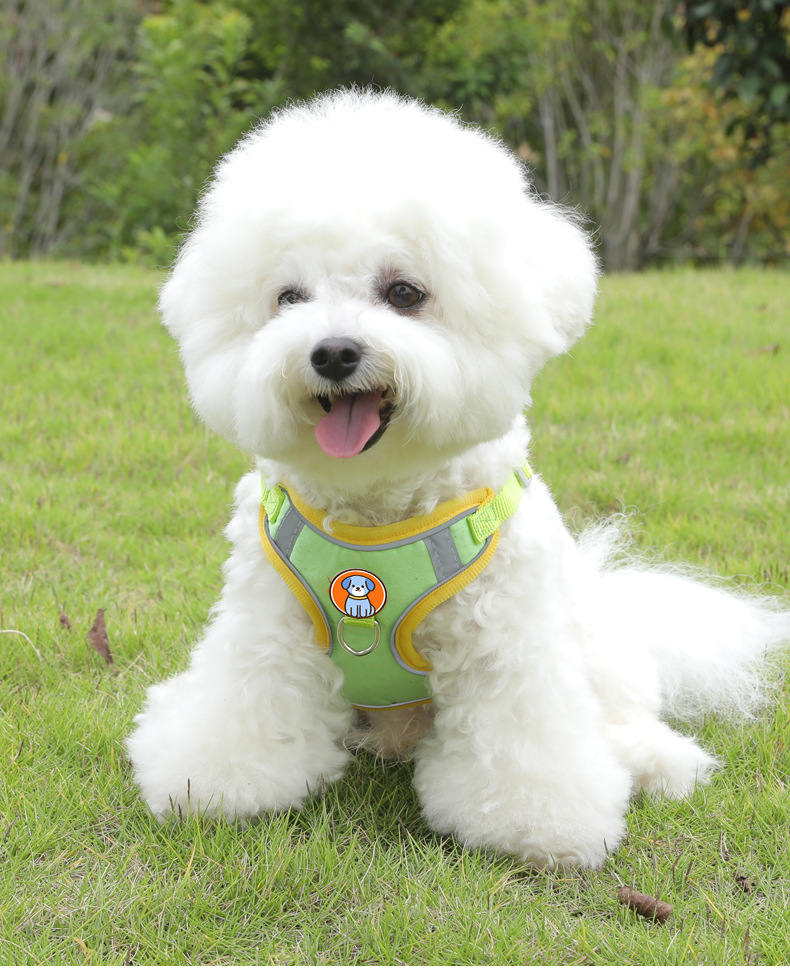 https://fulmo-img-server.com/wonderfulharness/7f582ead-680d-4ecc-a4ef-6d42b4a22fc0.jpg