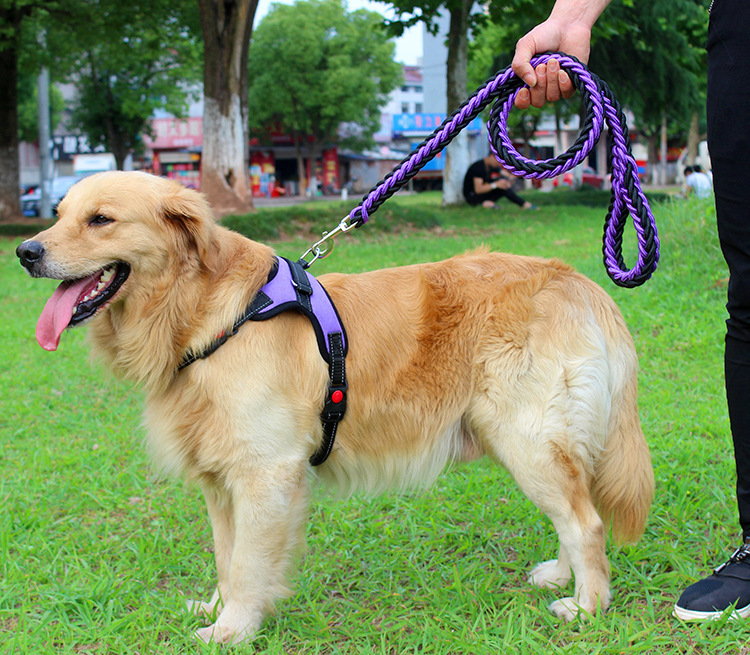 犬 ハーネス 職人手編み散歩ハーネス