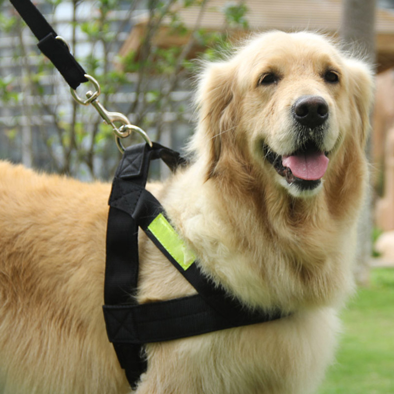 犬 ハーネス 機能美ワンタッチ 安全ハーネス