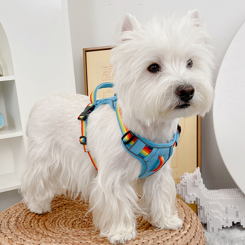 犬 ハーネス 快適おさんぽ職人ハーネス
