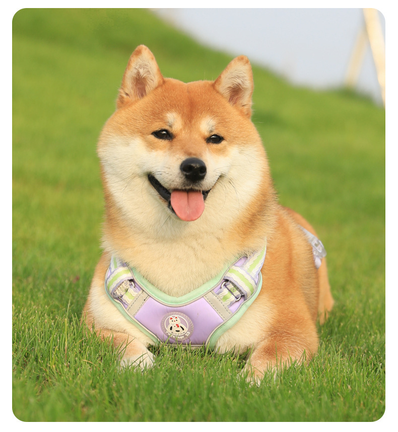 犬 ハーネス 柔らか手触り やすらぎハーネス