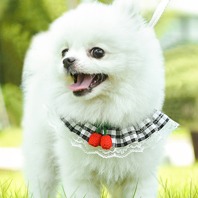 犬 ハーネス レース付き チェリーハーネス