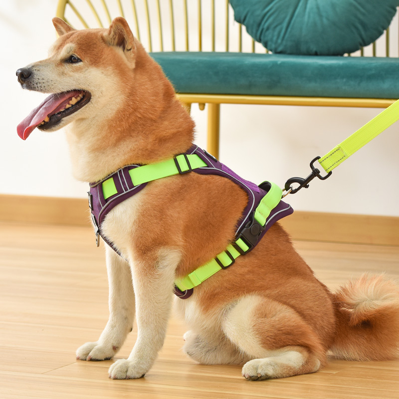 犬 ハーネス やさしさ包む 軽やか散歩ハーネス