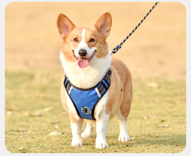 犬 ハーネス シームレス快適ハーネス