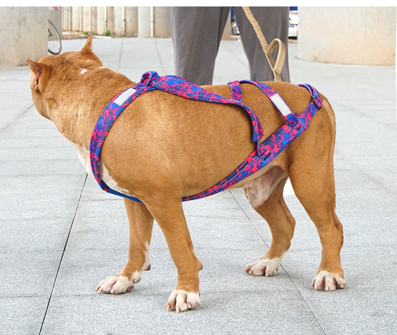 犬 ハーネス 職人技が光る快適あわせハーネス