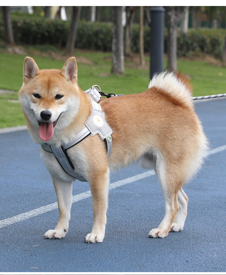 犬 ハーネス やさしさ包む もこもこ胸あてハーネス