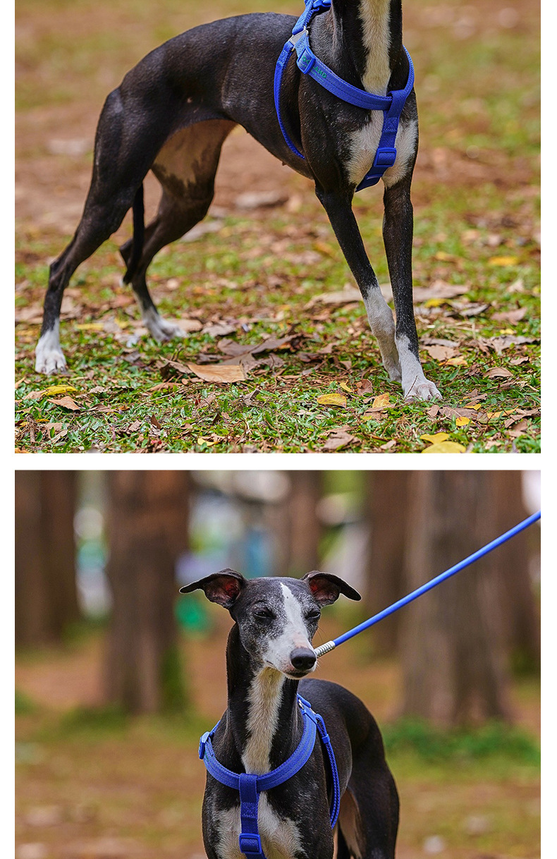 犬 ハーネス すらりと軽やか シンズハーネス