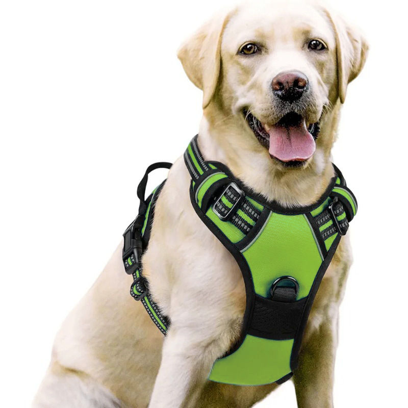 犬 ハーネス 究極のやさしさ調節式ハーネス