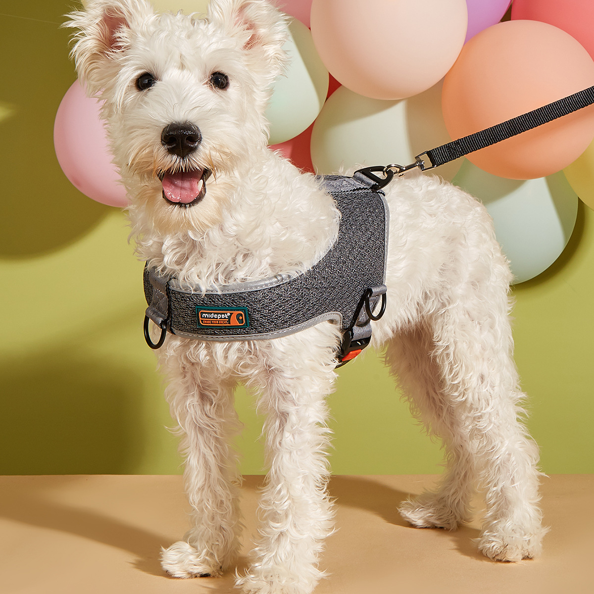 犬 ハーネス やさしい肩あて付きメッシュハーネス